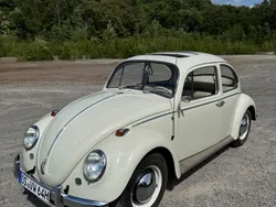 VW Käfer
