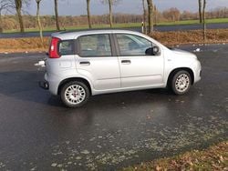 Grau Gebraucht 2013 Fiat Panda Kleinwagen | 4.100 € (Fairer Preis)