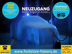 Grau Neu 2025 Ford Tourneo Limited Van / Kleinbus | 53.950 € (Guter Preis)