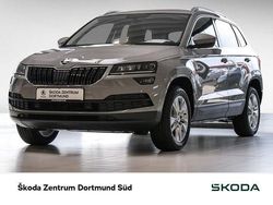 Grau Gebraucht 2021 Skoda Karoq Clever SUV | 19.645 € (Guter Preis)