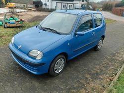 Blau Gebraucht 2002 Fiat Seicento Kleinwagen | 1.750 € (Etwas zu teuer)
