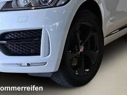 Weiß Gebraucht 2019 Jaguar F-Pace R-Sport SUV | 29.900 € (Fairer Preis)