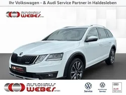 Weiß Gebraucht 2019 Skoda Octavia Kombi | 23.699 € (Etwas zu teuer)