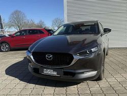 Grau Gebraucht 2024 Mazda CX-30 Homura-Line SUV | 29.980 €