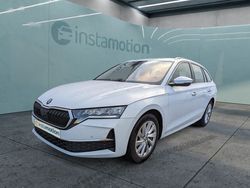 Weiß Gebraucht 2024 Skoda Octavia Kombi | 29.450 € (Fairer Preis)