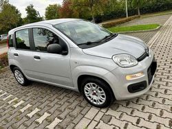 Gebraucht 2016 Fiat Panda Trekking Kombi | 6.700 €