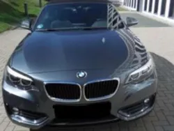 Grau Gebraucht 2018 BMW 218 Cabrio | 18.888 € (Guter Preis)