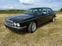 Schwarz Gebraucht 1990 Jaguar XJ40 Limousine | 15.900 €