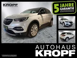 Perlmutt weiss Gebraucht 2021 Opel Grandland X Ultimate SUV | 21.980 € (Guter Preis)