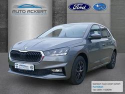 Grau Gebraucht 2024 Skoda Fabia Style Kleinwagen | 23.990 € (Etwas zu teuer)