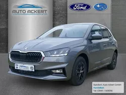 Grau Neu 2024 Skoda Fabia Style Limousine | 23.990 € (Fairer Preis)