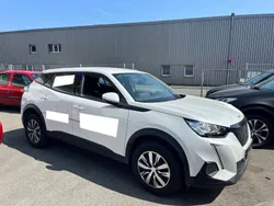 Weiß Gebraucht 2021 Peugeot 2008 Active SUV | 10.999 € (Guter Preis)