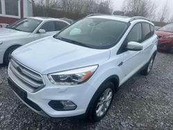 Weiß Gebraucht 2017 Ford Kuga Titanium SUV | 11.500 € (Guter Preis)