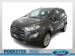 Grau Gebraucht 2020 Ford Ecosport Titanium SUV | 16.980 € (Fairer Preis)
