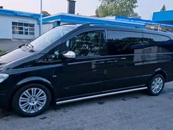 Mercedes Viano