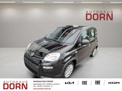 Gebraucht 2025 Fiat Panda Kleinwagen | 13.990 € (Guter Preis)