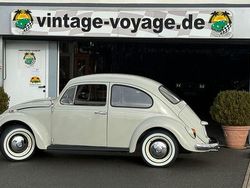Beige Gebraucht 1967 VW Käfer Limousine | 13.900 €