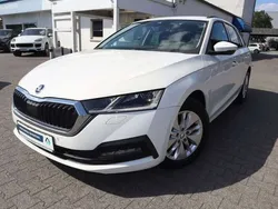 Candy white Gebraucht 2022 Skoda Octavia Ambition Kombi | 20.485 € (Fairer Preis)