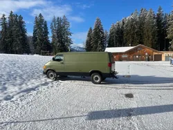 Grün Gebraucht 1999 Dodge Ram Abholung | 14.500 €