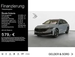 Grau Gebraucht 2025 Skoda Octavia SportLine Kombi | 43.990 €