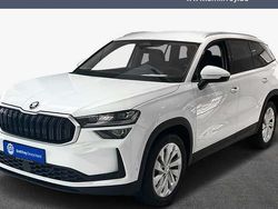 Weiß Gebraucht 2025 Skoda Kodiaq Selection SUV | 48.490 € (Etwas zu teuer)