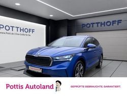 Blau Gebraucht 2024 Skoda Enyaq iV Suite SUV | 40.777 € (Superpreis)