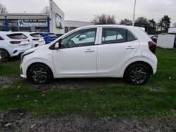 Weiß Neu 2025 Kia Picanto Vision Kleinwagen | 15.690 € (Guter Preis)