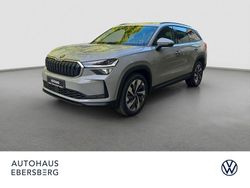 Weiß Neu 2025 Skoda Kodiaq Selection SUV | 53.900 € (Etwas zu teuer)