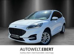Frostweiß Gebraucht 2022 Ford Kuga ST-Line X SUV | 24.890 € (Etwas zu teuer)
