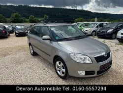 Beige Gebraucht 2009 Skoda Fabia Style Kombi | 4.999 € (Etwas zu teuer)