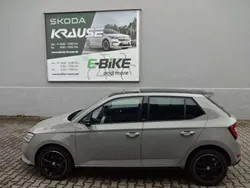 Stahl grau Gebraucht 2020 Skoda Fabia Monte Carlo Kleinwagen | 14.300 € (Fairer Preis)