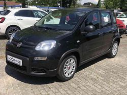 Schwarz Gebraucht 2024 Fiat Grande Panda Kleinwagen | 12.689 € (Fairer Preis)