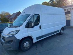 Weiß Gebraucht 2017 Fiat Ducato Van | 11.850 € (Guter Preis)