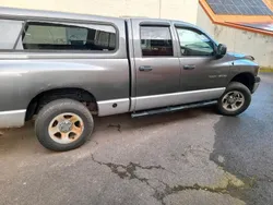Gebraucht 2005 Dodge Ram Abholung | 11.000 € (Superpreis)