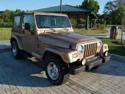 Bronze Gebraucht 1998 Jeep Wrangler Sahara SUV | 18.100 € (Fairer Preis)