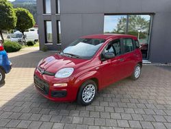 Rot Neu 2025 Fiat Panda Kleinwagen | 14.990 € (Fairer Preis)