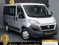 Grau Gebraucht 2017 Fiat Ducato Van | 23.980 € (Etwas zu teuer)