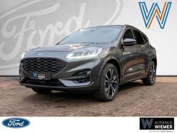 Grau Gebraucht 2024 Ford Kuga ST-Line X SUV | 40.900 € (Teuer)