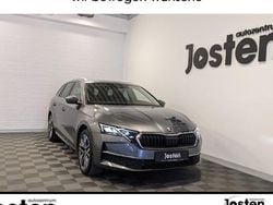 Grau Gebraucht 2024 Skoda Octavia Exclusive Kombi | 31.990 € (Guter Preis)