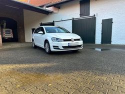 Weiß Gebraucht 2016 VW Golf VII Trendline Kombi | 7.900 € (Guter Preis)
