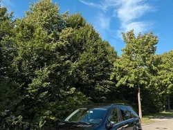 Schwarz Gebraucht 2009 Mercedes ML320 AMG SUV | 15.999 €