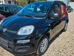 Schwarz Gebraucht 2014 Fiat Panda Lounge Kleinwagen | 4.900 € (Guter Preis)