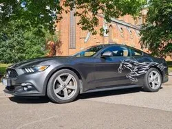 Grau Gebraucht 2017 Ford Mustang Coupé | 29.500 € (Teuer)
