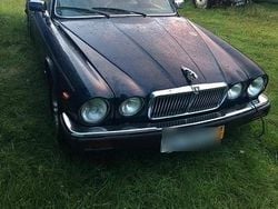 Blau Gebraucht 1986 Jaguar XJ6 Limousine | 6.233 €