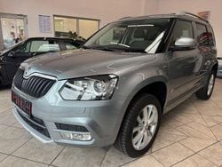Grau Gebraucht 2017 Skoda Yeti Joy SUV | 16.850 € (Fairer Preis)