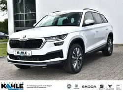 Grau Gebraucht 2024 Skoda Kodiaq Tour SUV | 37.950 € (Guter Preis)