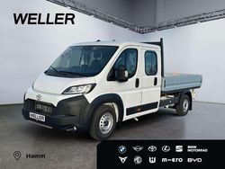 Weiß Neu 2025 Toyota Proace Van / Kleinbus | 37.990 € (Superpreis)