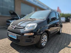 Schwarz Gebraucht 2014 Fiat Panda Lounge Kleinwagen | 5.980 € (Fairer Preis)