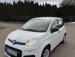 Weiß Gebraucht 2016 Fiat Panda Kleinwagen | 6.500 € (Guter Preis)