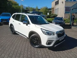 Weiß Gebraucht 2020 Subaru Forester Active SUV | 25.990 € (Fairer Preis)